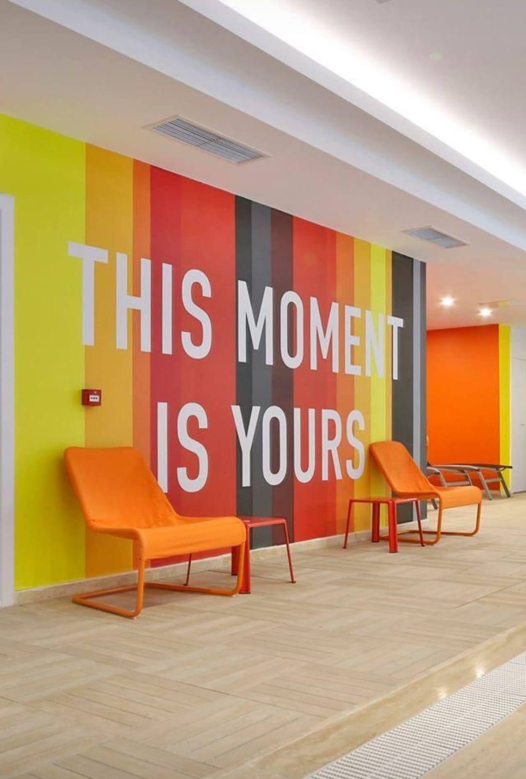 Wall Wrap (Vinyl)